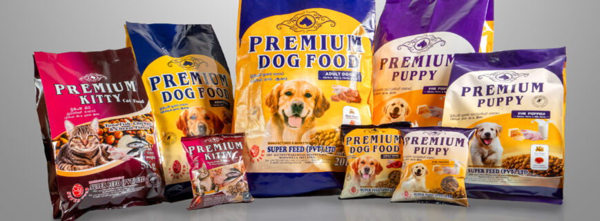 EJ_07403-copy-scaled EJ_07403-copy-scaled