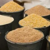 Feed-additive-openPR.com_ Feed-additive-openPR.com_