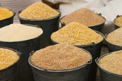 Feed-additive-openPR.com_ Feed-additive-openPR.com_