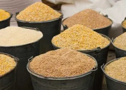 Feed-additive-openPR.com_