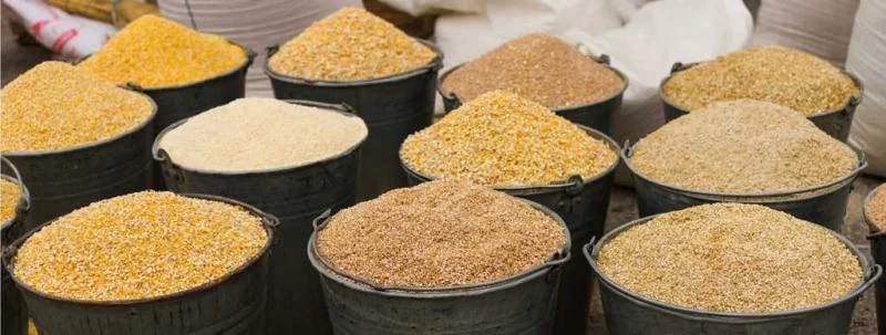 Feed-additive-openPR.com_ Feed-additive-openPR.com_